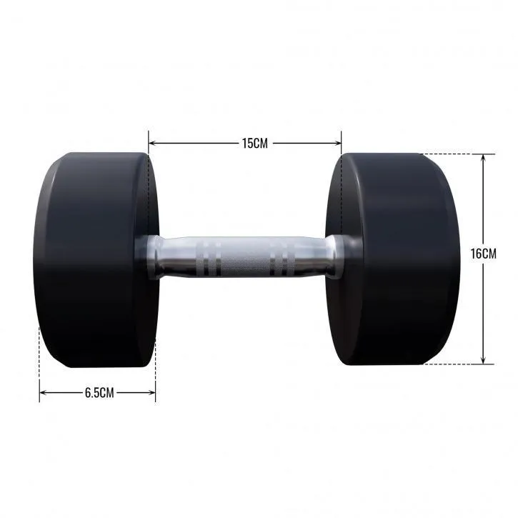 Fixed Dumbbell 12.5KG